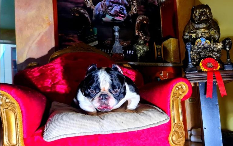 Imagen de WhatsApp 2023 06 06 a las 15.34.31 1 768x483