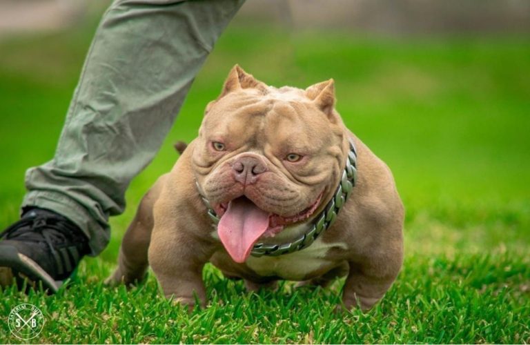 Imagen de WhatsApp 2023 06 06 a las 16.59.52 768x500