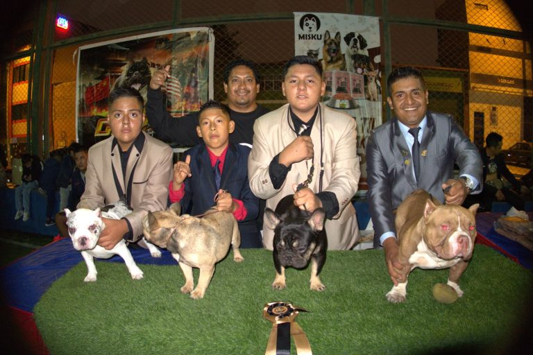 Imagen de WhatsApp 2023 06 07 a las 09.44.39 1 768x512