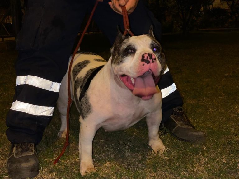 Imagen de WhatsApp 2023 06 15 a las 12.45.01 768x576