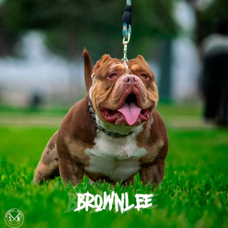 imagen 2023 06 06 201903583 768x768